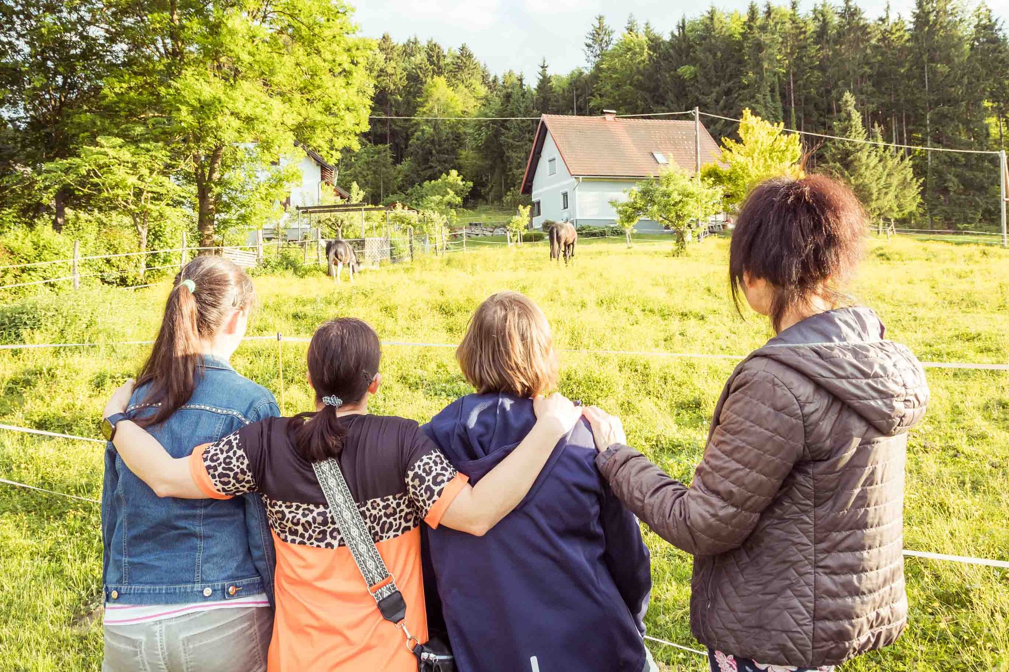 Vier Personen stehen Arm in Arm an einer Pferdekoppel